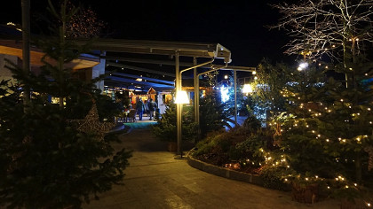 Weihnachtsmarkt auf Quellenhof - cover