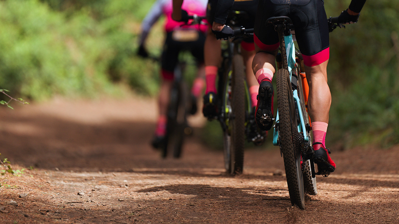 Тропы, посвященные MTB