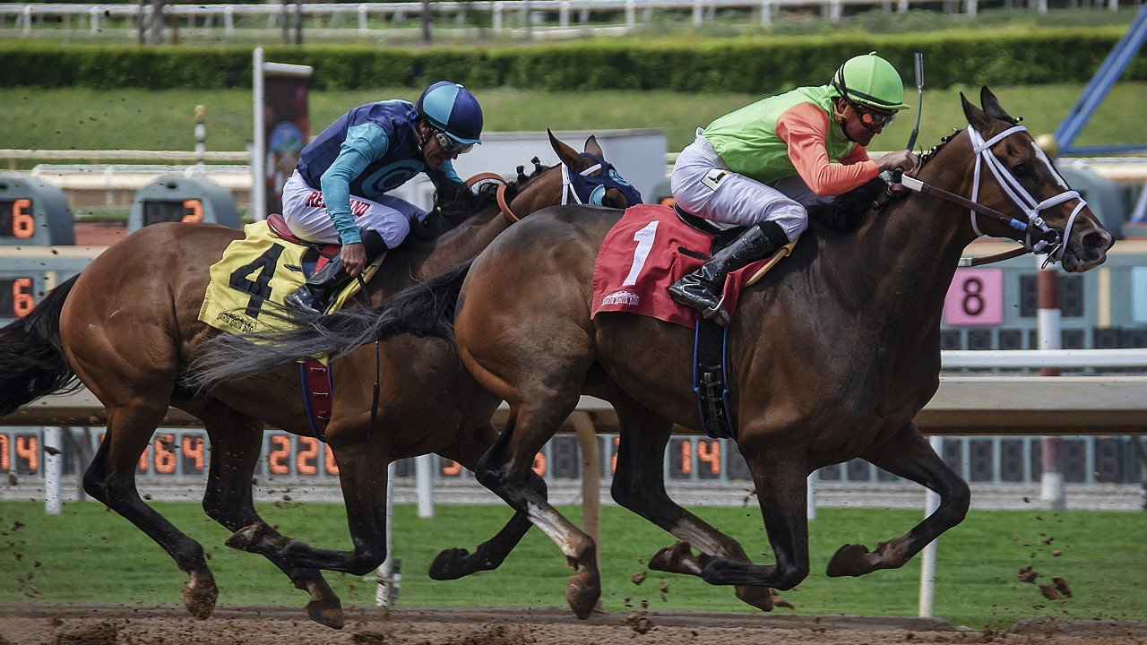 Horse racing - Riding