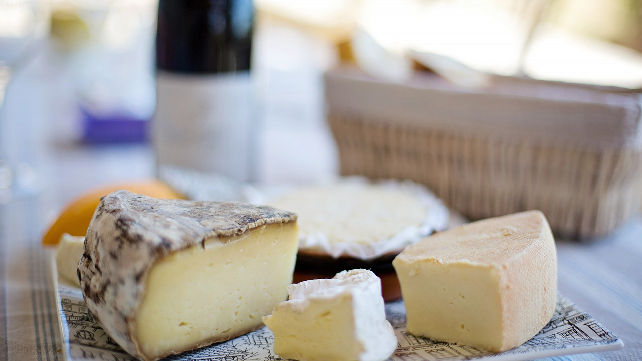 Dish with cheese and a bottle of wine