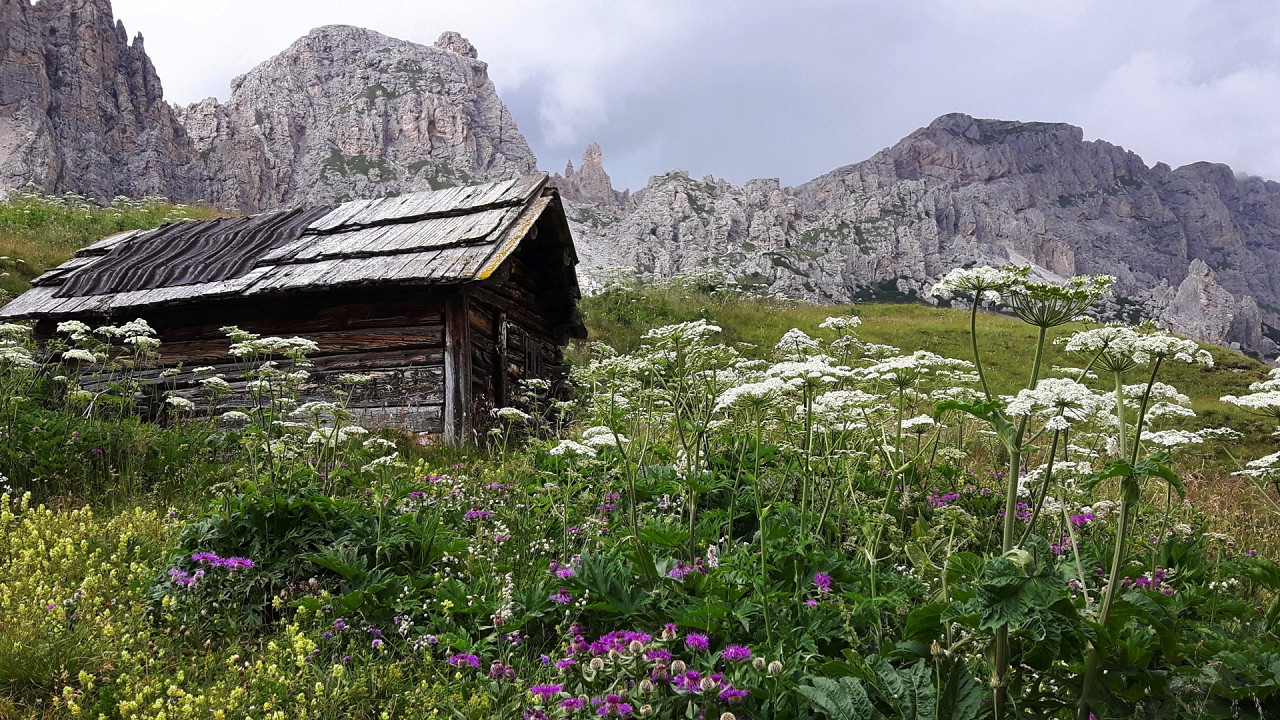 Шаг Гардена в Валь Гардена