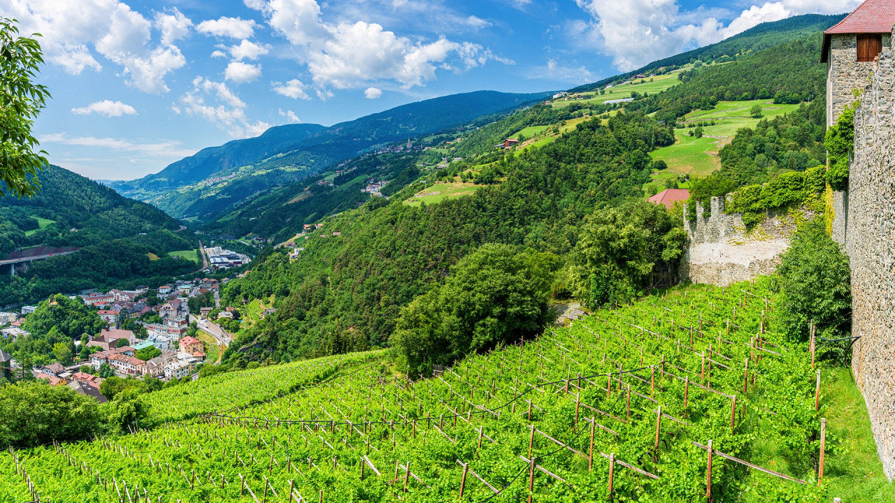 Vineyards near the Sabiona monastery in Chiusa