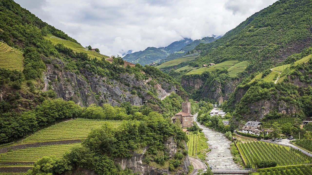 Vignobles et château dans les environs de Bolzano
