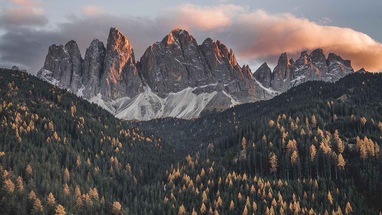Panorama Forestis Bressanone