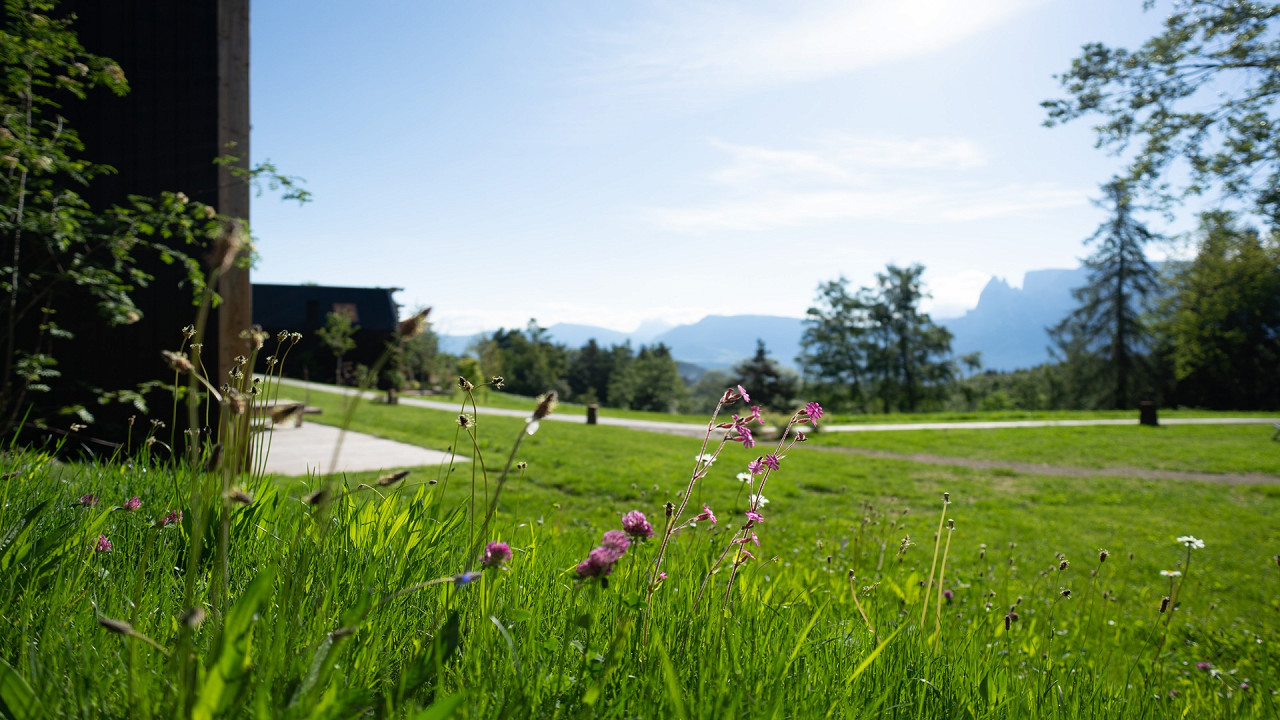 Frühling ADLER Lodge RITTEN