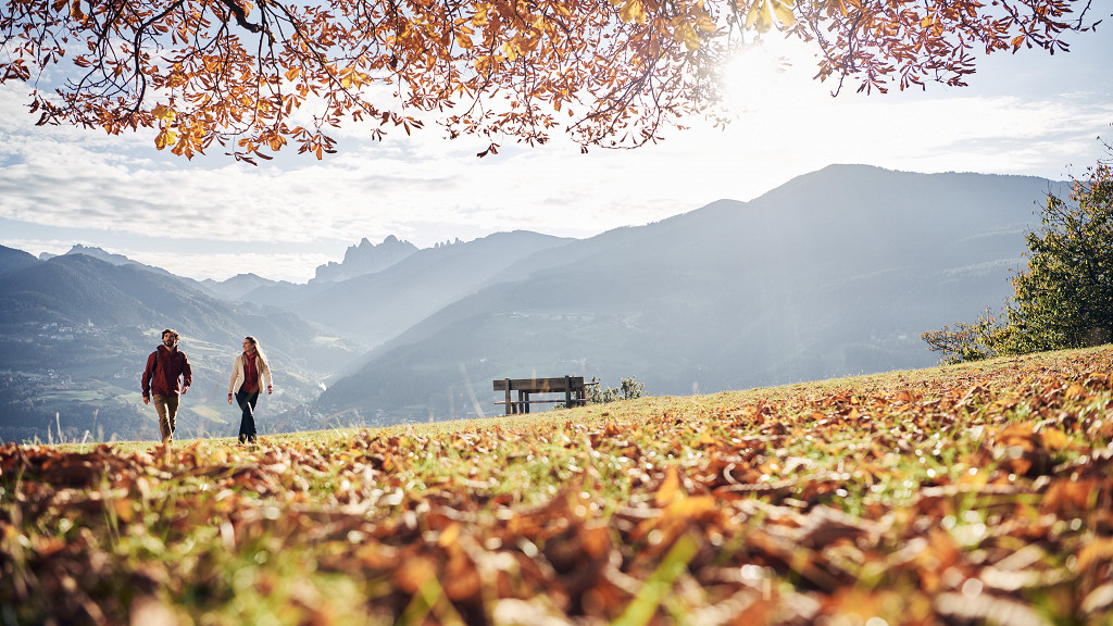 Wine-hiking-spa weeks - cover