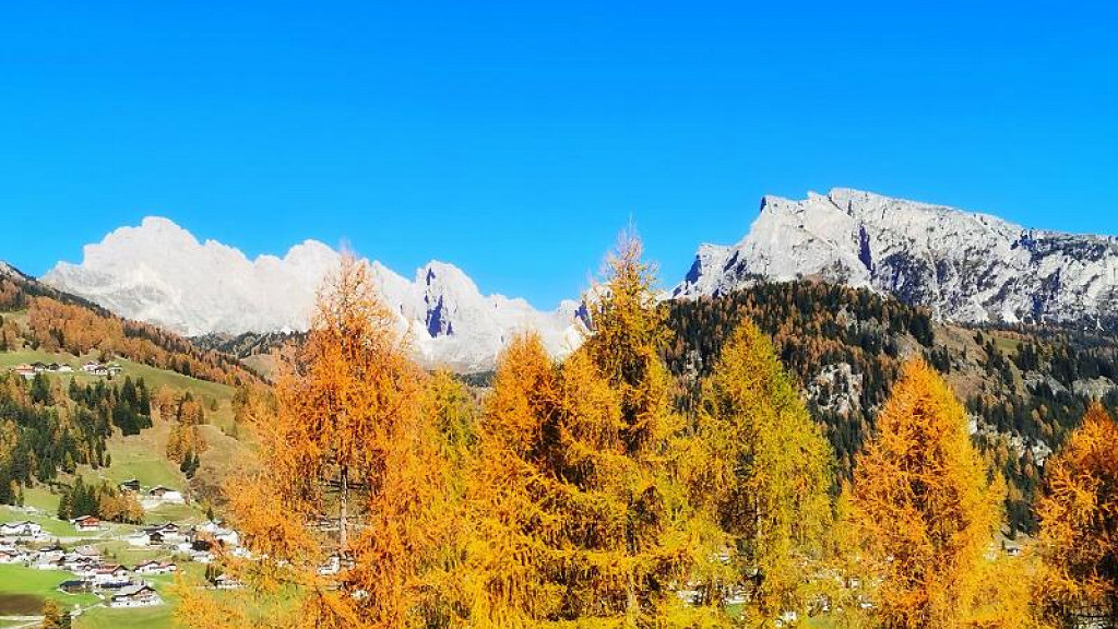 Farbenrausch im Herbst - cover