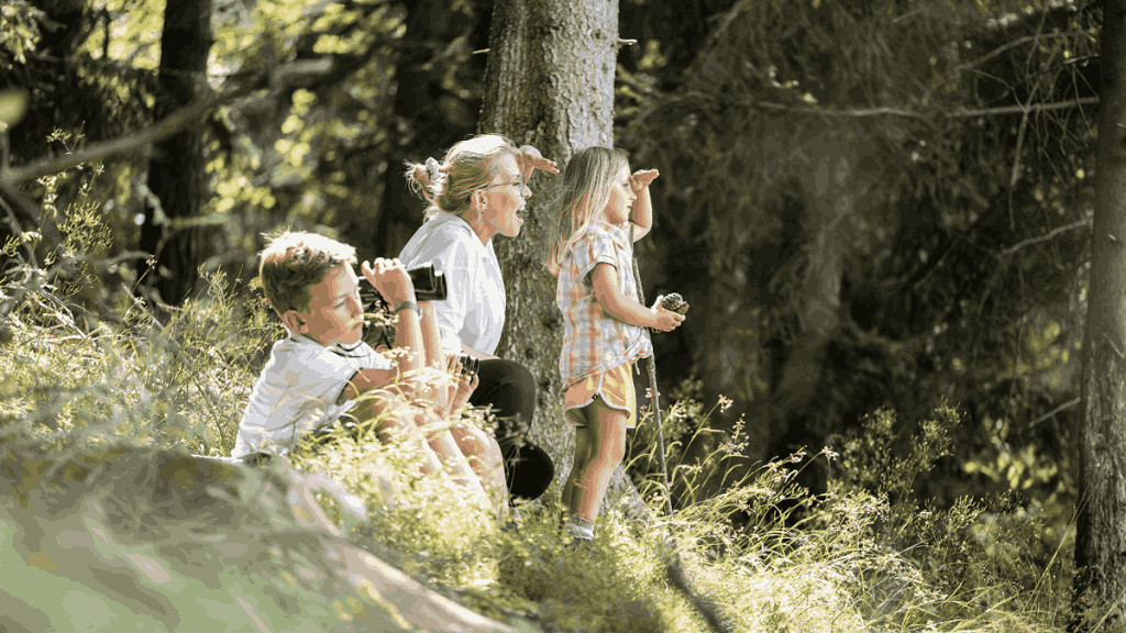 Vacanza avventura per piccoli esploratori - cover