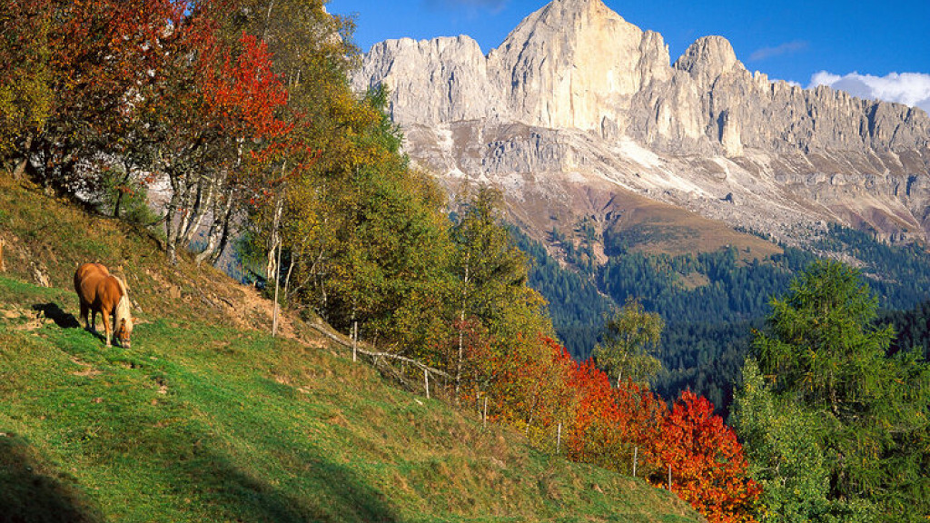 The magic of autumn in Val d'Ega - cover