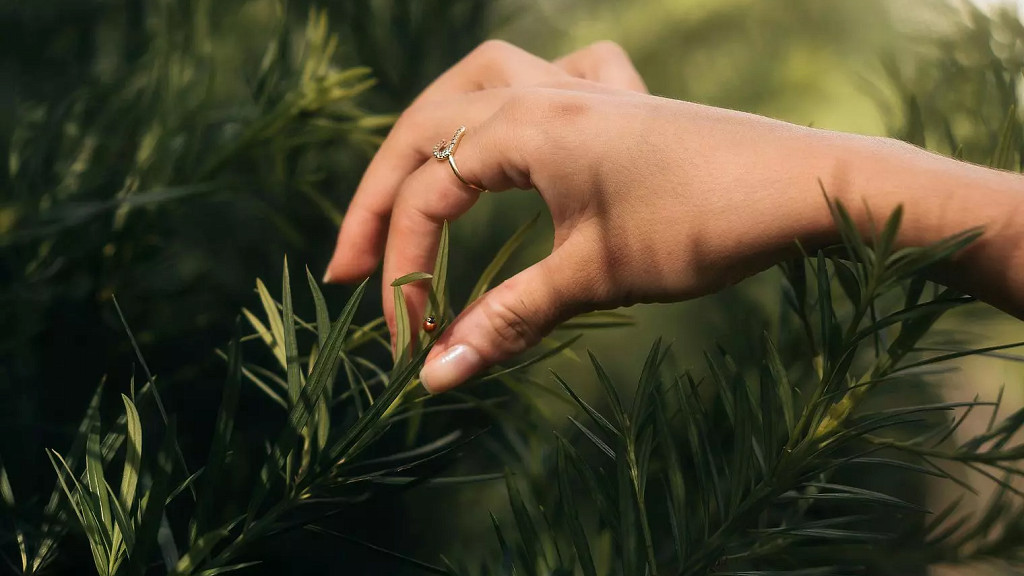 MY TREE THERAPY 10 % sur le séjour et 3 soins Signature - cover