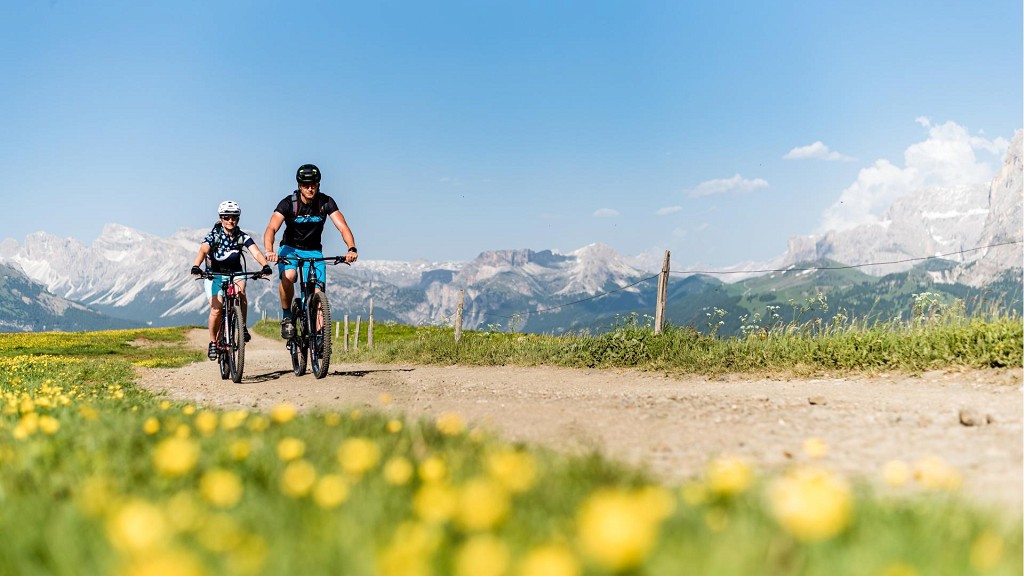 Summer magic in the Dolomites - cover