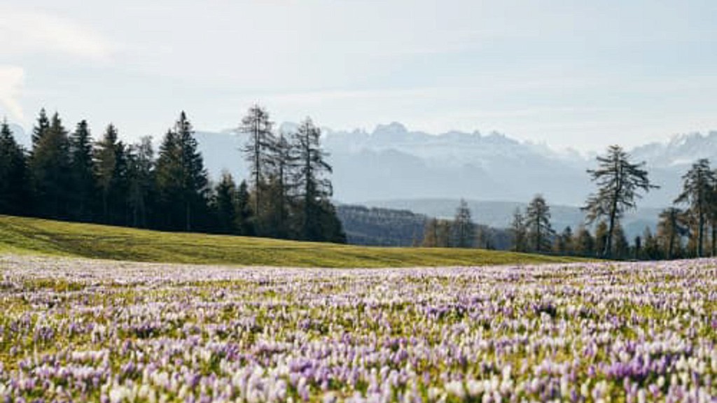 Ostern in Bozen und Umgebung - cover