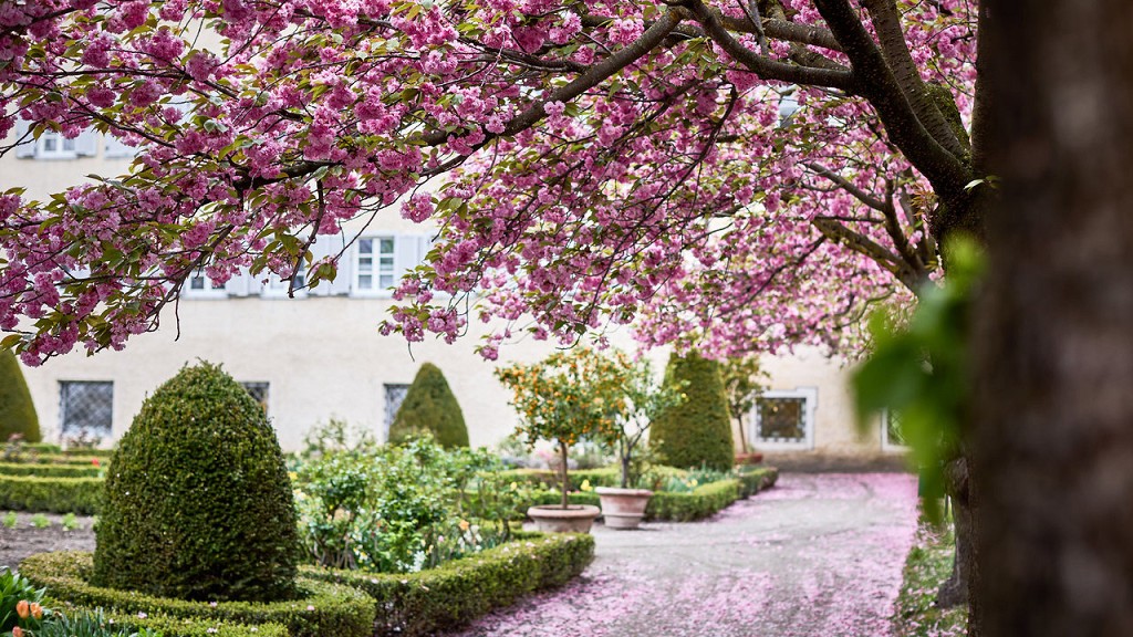 Spring & Midweek - cover