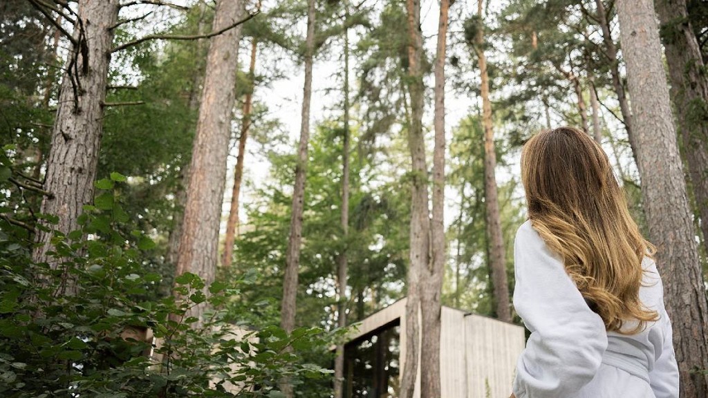 Super Spa Special - cover