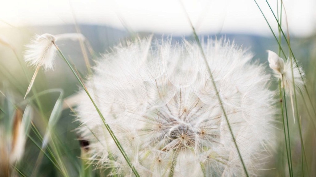 Natural Digital Detox - cover