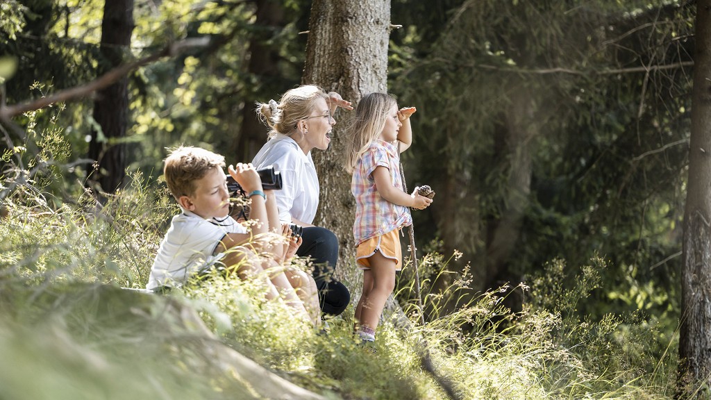 Farm Fun & Forest Magic – Kids Adventure Weeks - cover