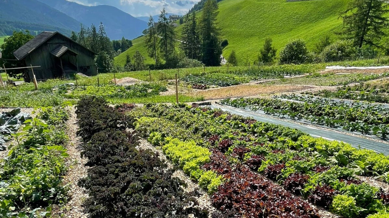Orto con erbe Naturhotel Lüsnerhof