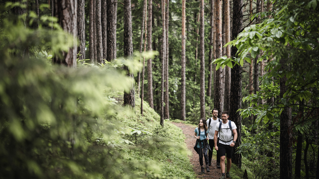 Escursione guidata - Santre dolomythic home