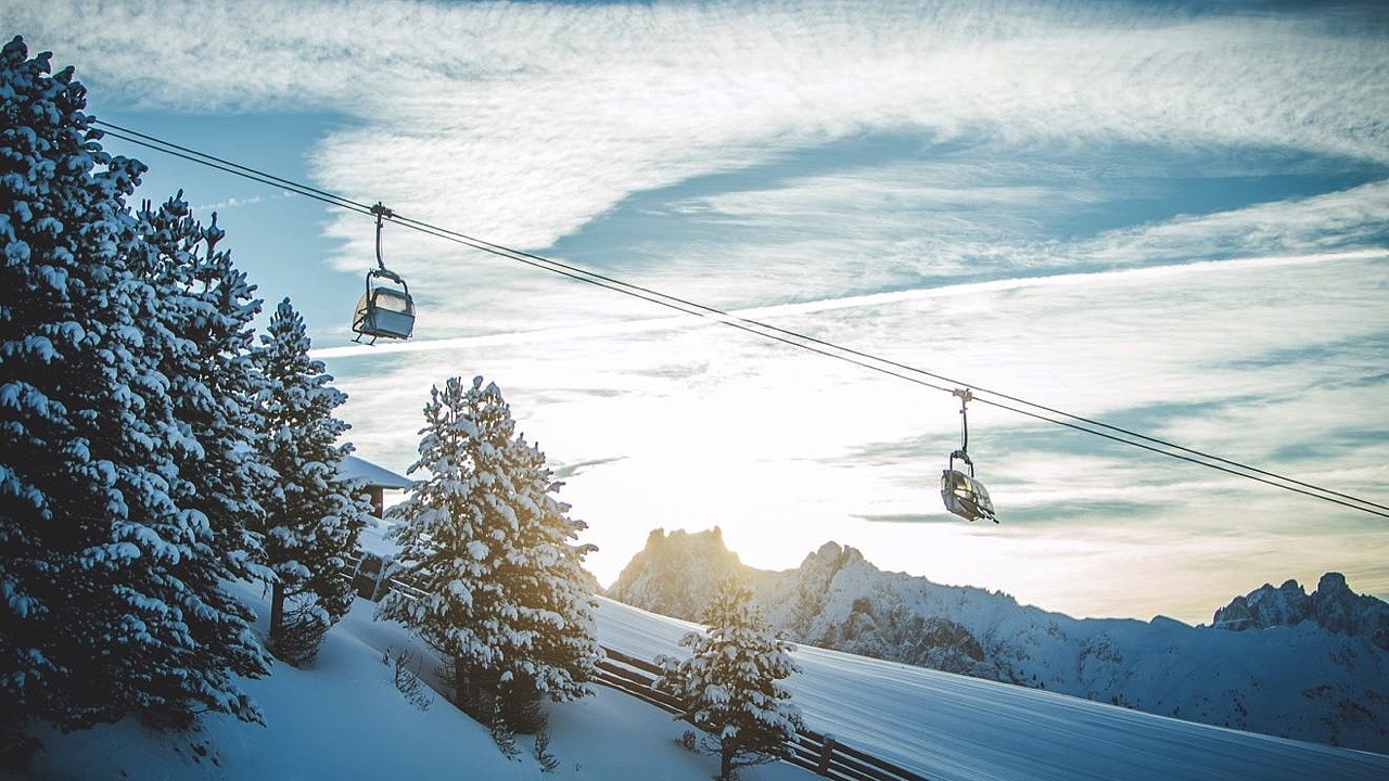 My Arbor – Dolomites
