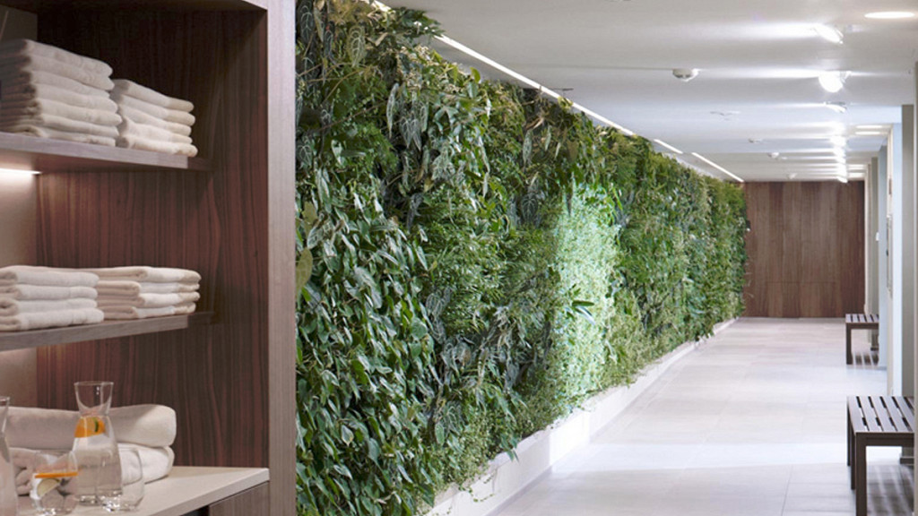 Santé, bien-être et centre médical - cover